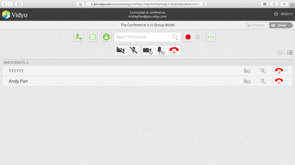 Vidyo screen with Web Call Server participant