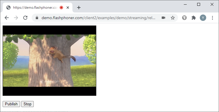 release_media_devices_publish_Browser_WCS_WebRTC_RTMP_codec_fps_camera_bitrate
