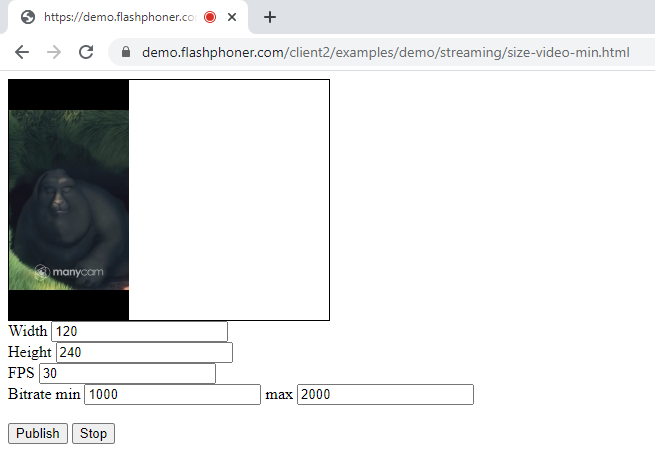 size_video_page_publish_media_devices_Browser_WCS_WebRTC_RTMP_codec_fps_camera_bitrate