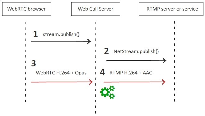 cannot connect to dailymotion rtmp server