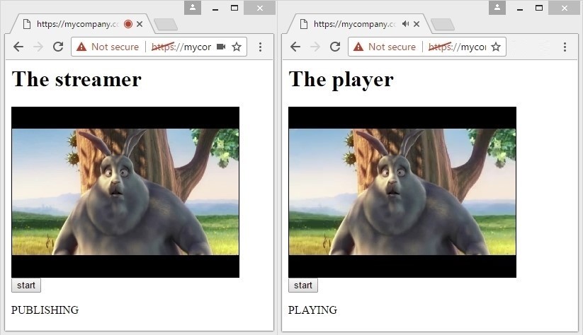 Player_HTML