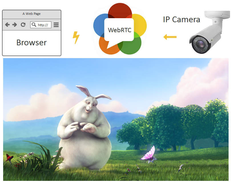 ip camera browser