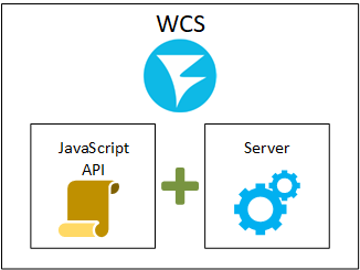 javascript_server_WebRTC_Android_iOS_SDK_API_WCS_browser_RTMP_RTSP_VOD_SIP_RTP