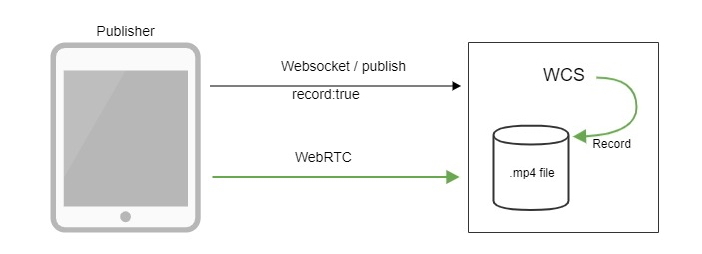 stream_rec_WebRTC_Android_iOS_SDK_API_WCS_browser_RTMP_RTSP_VOD_SIP_RTP