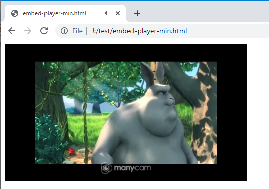 playing player browser WebRTC MSE Flash WSPlayer WCS ipcam