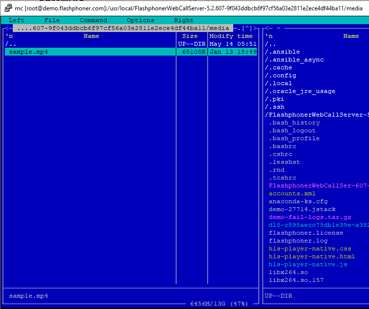 add-file VOD VODlive stream WCS WebRTC Websocket browser