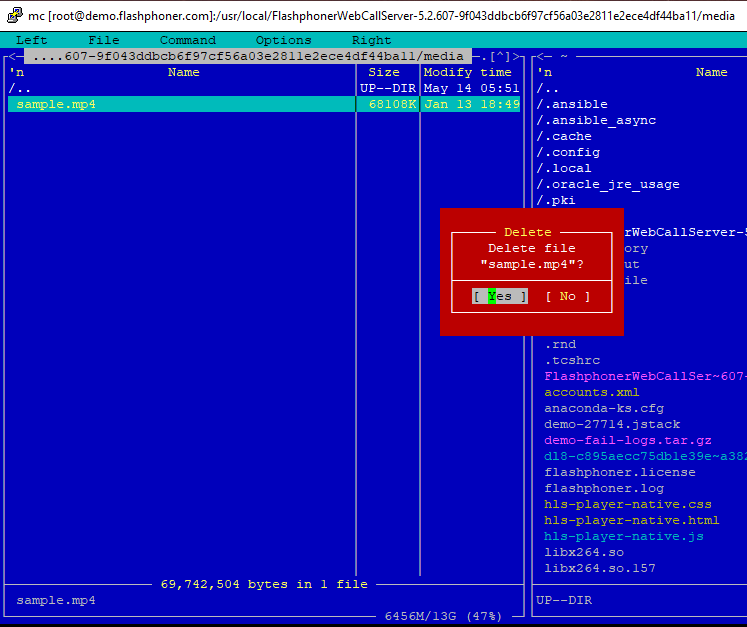 delete file VOD VODlive stream WCS WebRTC Websocket browser