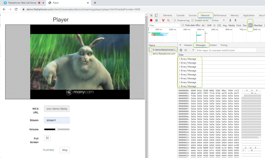 proof MSE PlayerWCS WebRTC Websocket browser