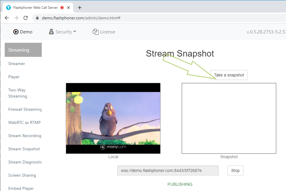 take_snapshot_webrtc_flash_browser_WCS_RTMP_RTSP_Snapshot