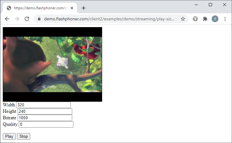 play_size_video_page_publish_media_devices_Browser_WCS_WebRTC_RTMP_codec_fps_camera_bitrate