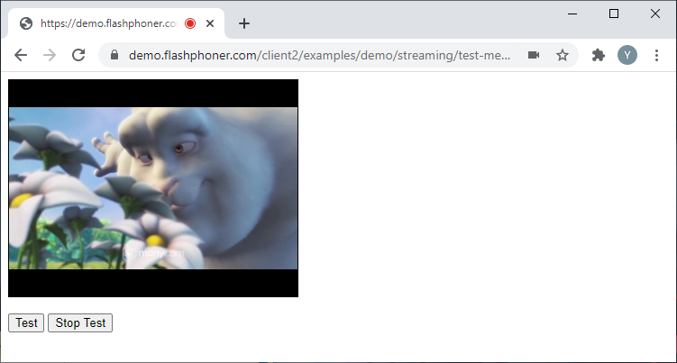 test_media_devices_Browser_WCS_WebRTC_RTMP_codec_fps_camera_bitrate