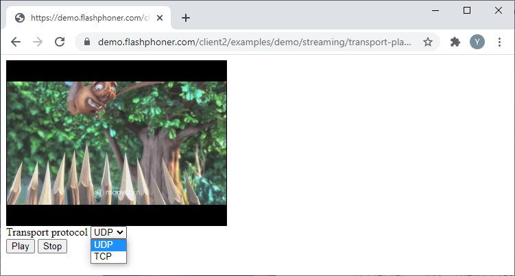 transport_protocol_play_media_devices_Browser_WCS_WebRTC_RTMP_codec_fps_camera_bitrate