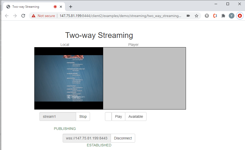 two-way_streaming_WCS_WebRTC_browser_stream_WebSocket_publishing_testing